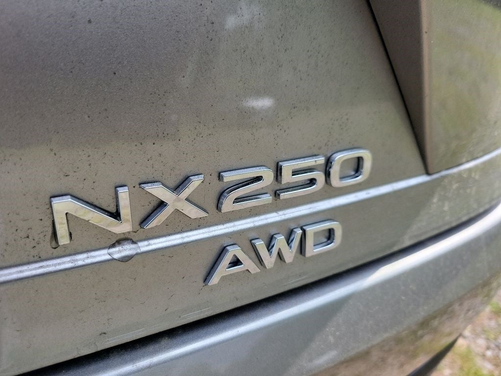 2025 Lexus NX PREMIUM